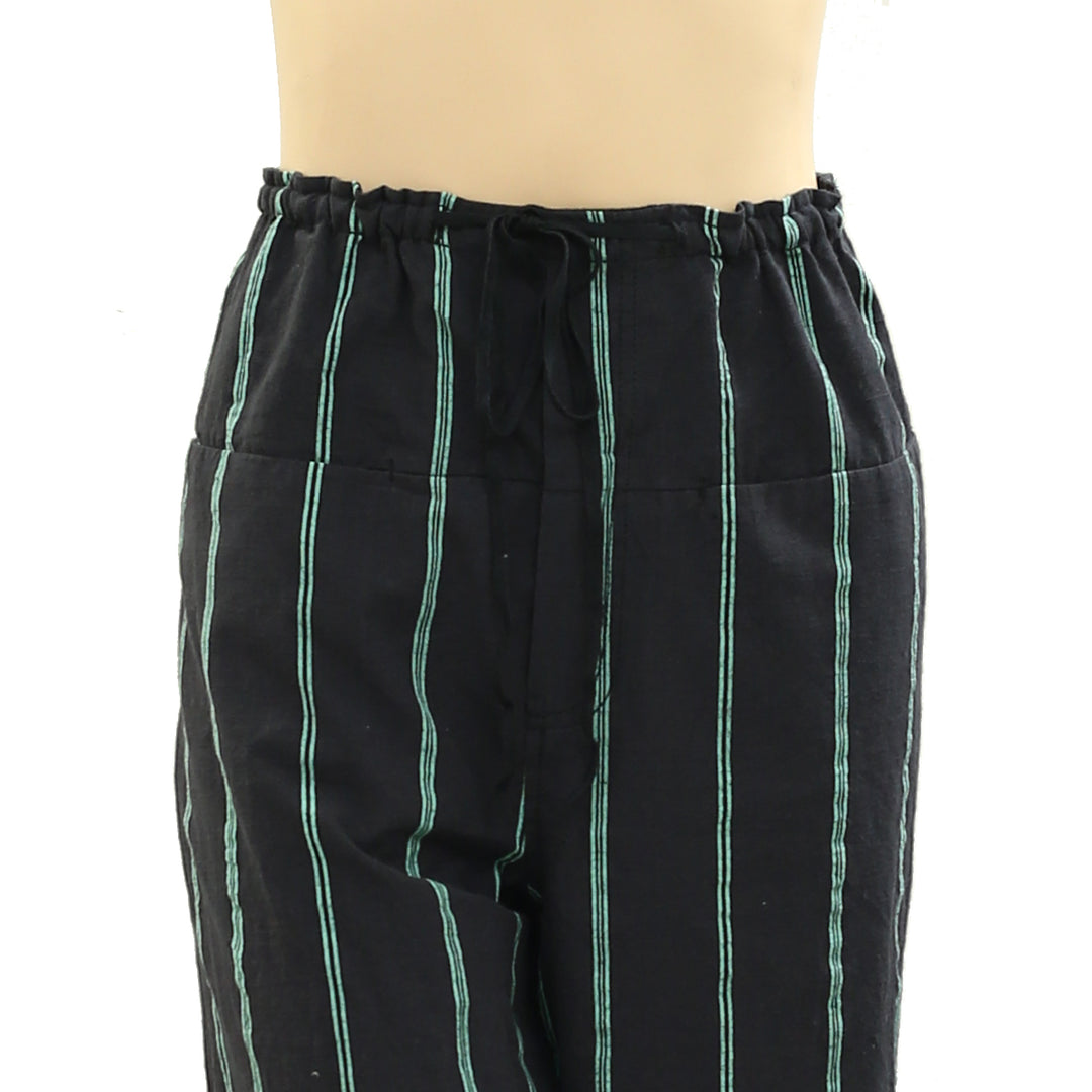 Free People Hudson Canyon Textured Striped Pants