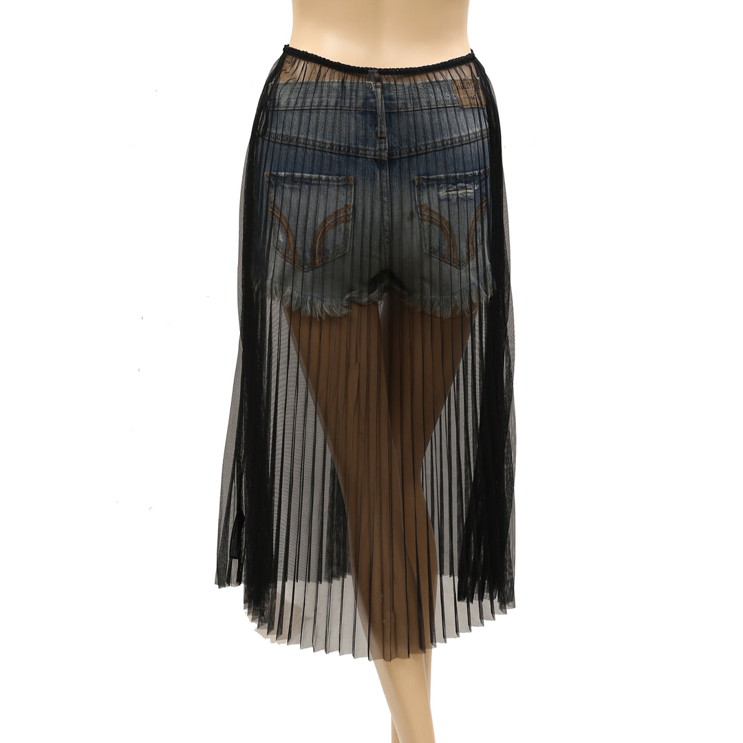 By Anthropologie Sunburst Pleated Sheer Midi Skirt