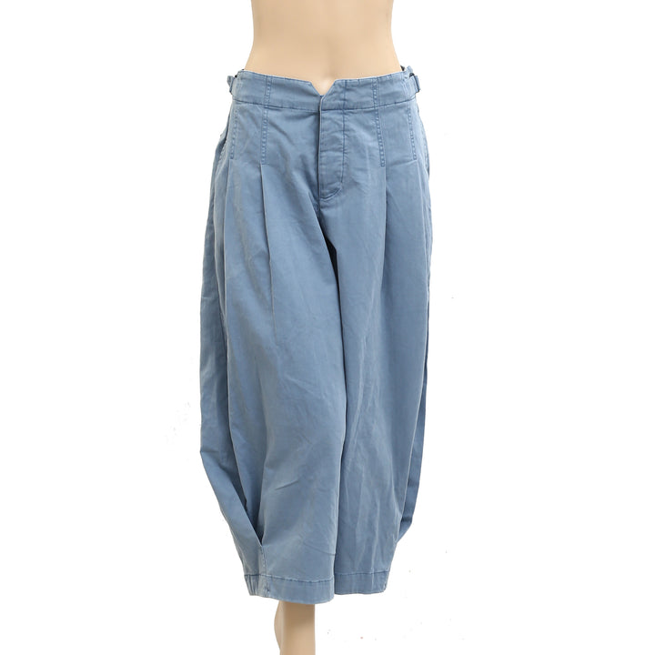 Soft Surroundings Pleated Barrel Pants