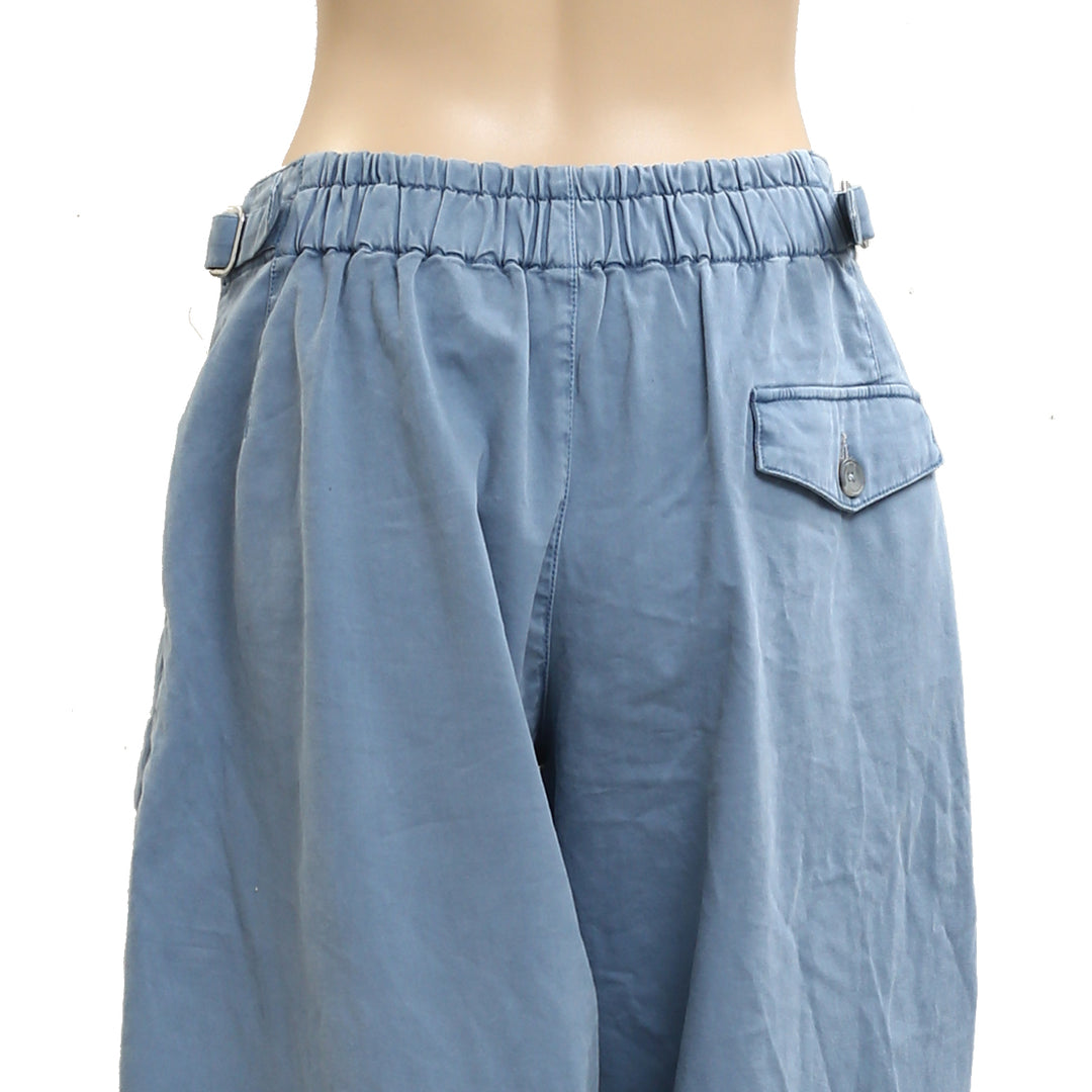 Soft Surroundings Pleated Barrel Pants