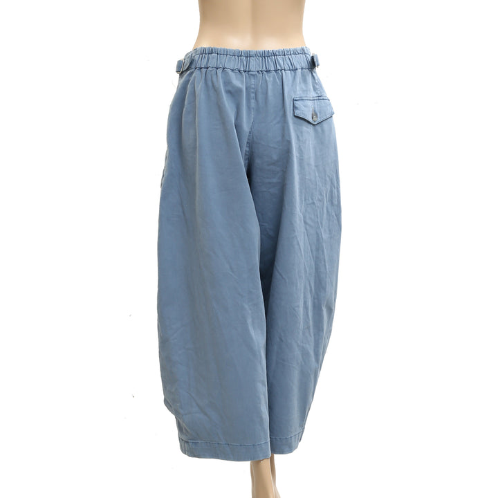 Soft Surroundings Pleated Barrel Pants