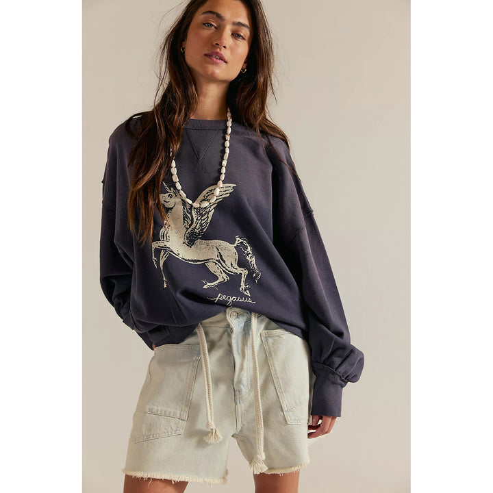Free People We The Free Dicey Sweatshirt Top