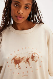 Free People We The Free Farm Friends Tee Tunic Top